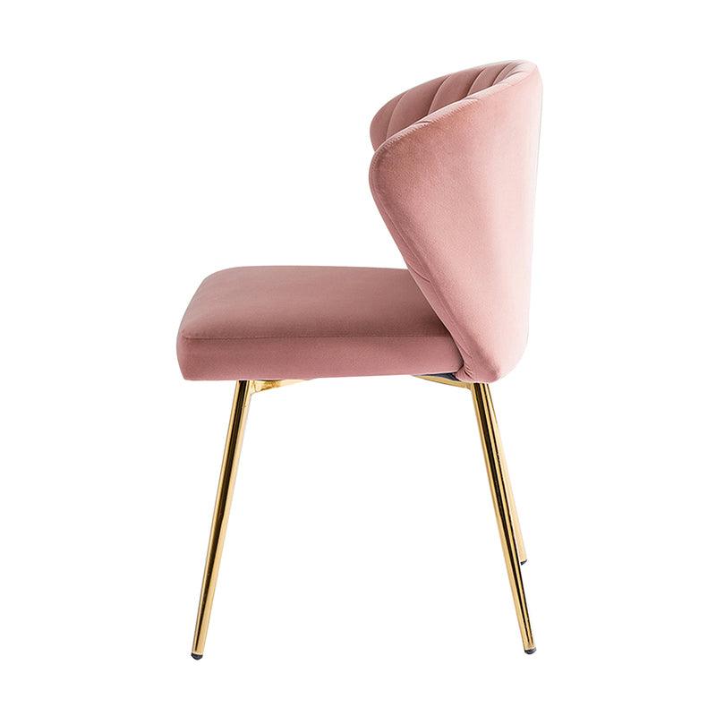 Aruna Side Chair Set(Optional Types)
