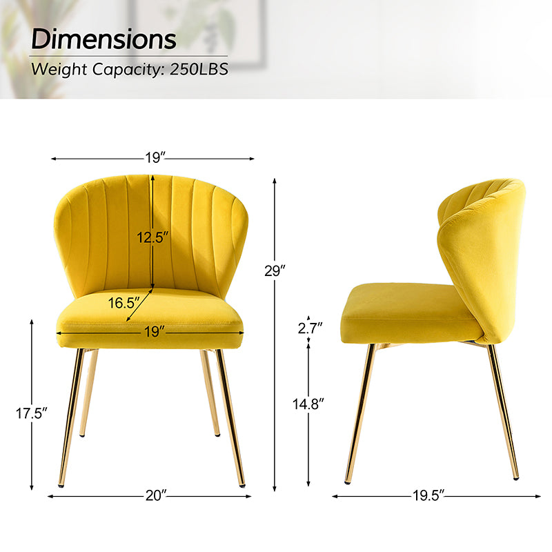 Aruna Velvet Dining Chair