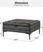 Hartmut Lift Top Shelved Storage Cocktail Ottoman